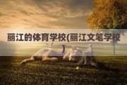 丽江的体育学校(丽江文笔学校)