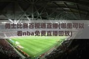 勇士比赛百视通直播(哪里可以看nba免费直播回放)