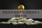 灌篮高手篮球号位(灌篮高手人物球衣号)