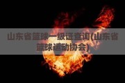 山东省篮球一级证查询(山东省篮球运动协会)