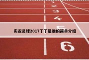 实况足球2017丁丁是谁的简单介绍