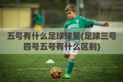 五号有什么足球球星(足球三号四号五号有什么区别)