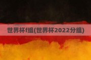 世界杯f组(世界杯2022分组)