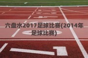 六盘水2017足球比赛(2014年足球比赛)