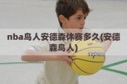 nba鸟人安德森休赛多久(安德森鸟人)