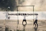 fm2015比赛引擎换(fm2015bug)