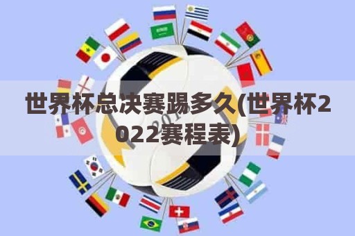 世界杯总决赛踢多久(世界杯2022赛程表)