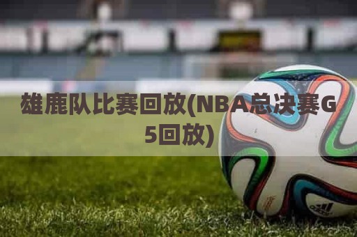 雄鹿队比赛回放(NBA总决赛G5回放)