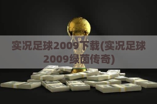 实况足球2009下载(实况足球2009绿茵传奇)