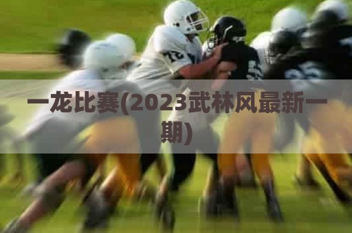 一龙比赛(2023武林风最新一期)