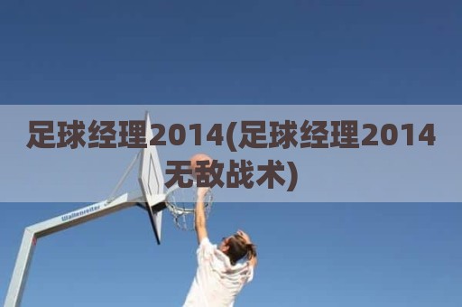 足球经理2014(足球经理2014无敌战术)