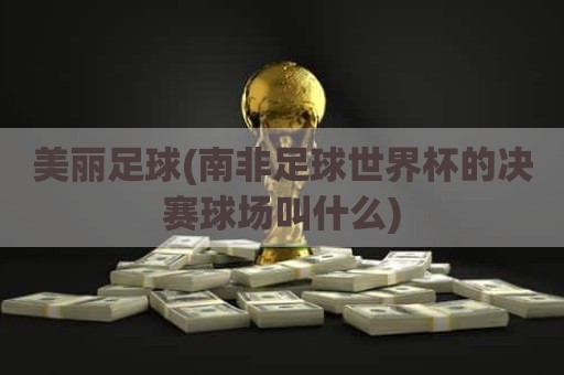 美丽足球(南非足球世界杯的决赛球场叫什么)