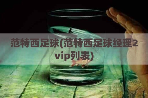 范特西足球(范特西足球经理2vip列表)