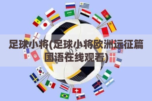 足球小将(足球小将欧洲远征篇国语在线观看)