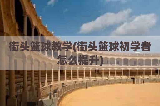 街头篮球教学(街头篮球初学者怎么提升)