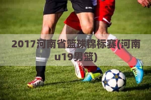 2017河南省篮球锦标赛(河南u19男篮)