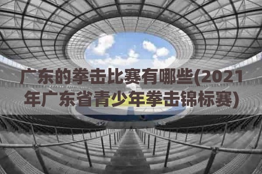 广东的拳击比赛有哪些(2021年广东省青少年拳击锦标赛)