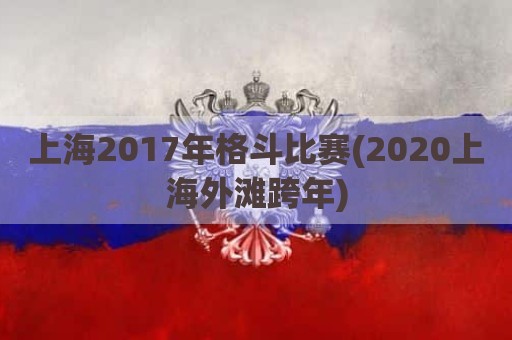 上海2017年格斗比赛(2020上海外滩跨年)