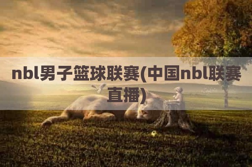 nbl男子篮球联赛(中国nbl联赛直播)