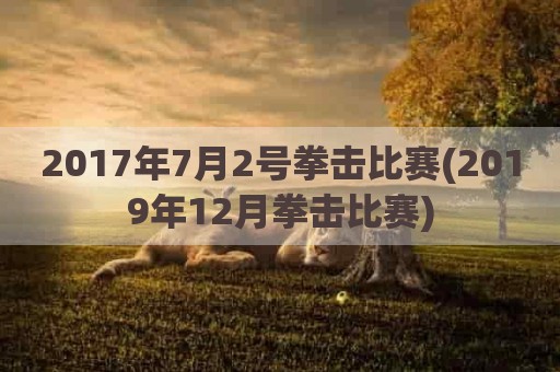 2017年7月2号拳击比赛(2019年12月拳击比赛)