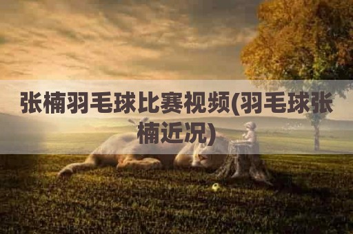 张楠羽毛球比赛视频(羽毛球张楠近况)