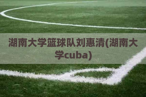 湖南大学篮球队刘惠清(湖南大学cuba)