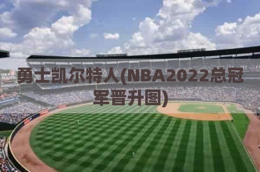 勇士凯尔特人(NBA2022总冠军晋升图)