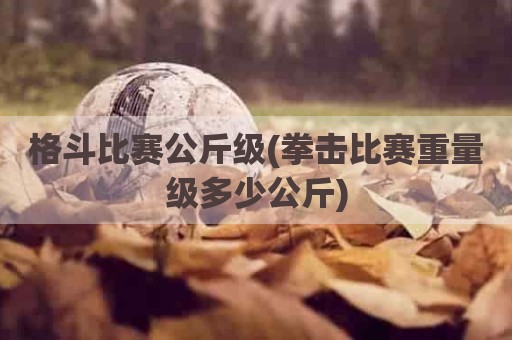 格斗比赛公斤级(拳击比赛重量级多少公斤)