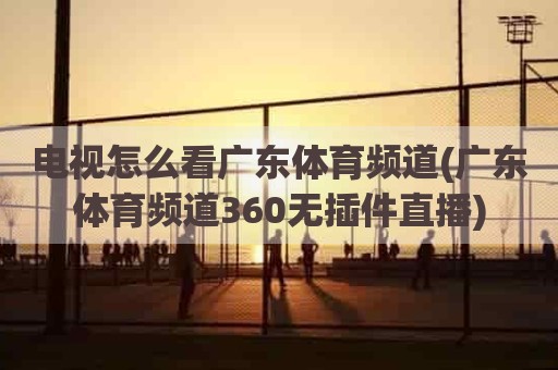 电视怎么看广东体育频道(广东体育频道360无插件直播)