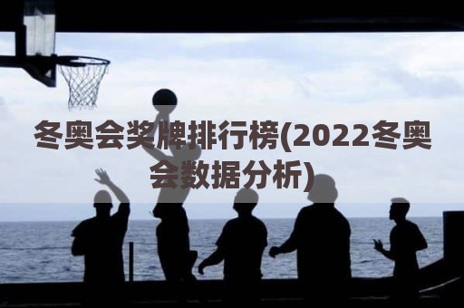 冬奥会奖牌排行榜(2022冬奥会数据分析)