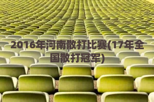 2016年河南散打比赛(17年全国散打冠军)