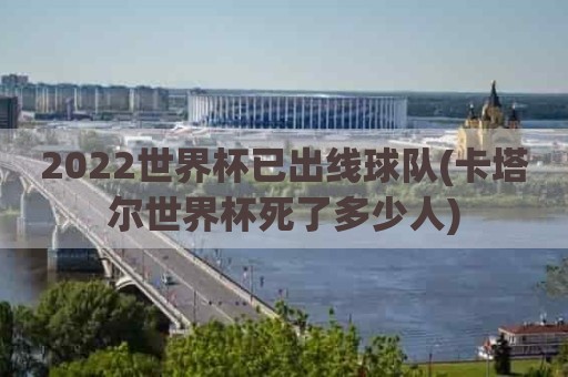 2022世界杯已出线球队(卡塔尔世界杯死了多少人)