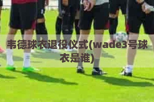 韦德球衣退役仪式(wade3号球衣是谁)