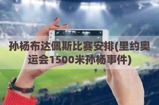 孙杨布达佩斯比赛安排(里约奥运会1500米孙杨事件)