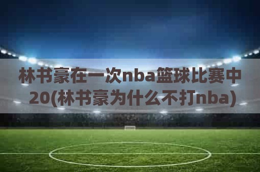 林书豪在一次nba篮球比赛中 20(林书豪为什么不打nba)