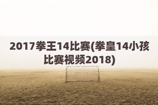 2017拳王14比赛(拳皇14小孩比赛视频2018)