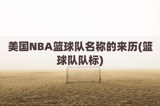 美国NBA篮球队名称的来历(篮球队队标)