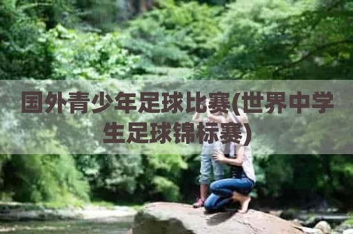 国外青少年足球比赛(世界中学生足球锦标赛)