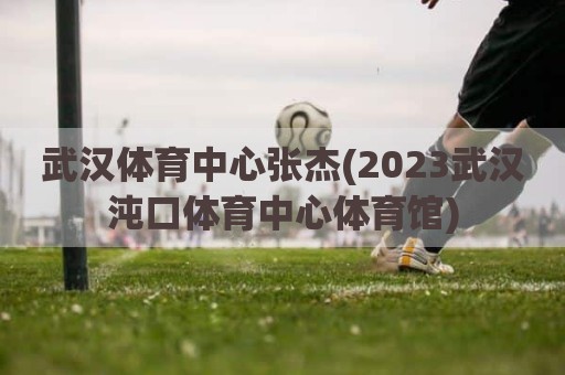 武汉体育中心张杰(2023武汉沌口体育中心体育馆)