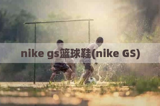 nike gs篮球鞋(nike GS)