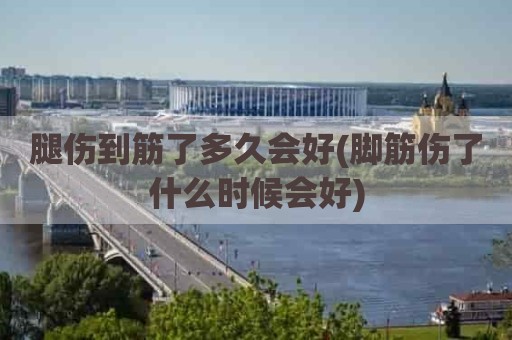 腿伤到筋了多久会好(脚筋伤了什么时候会好)