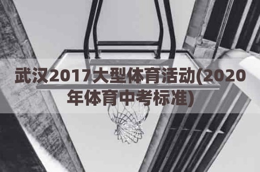 武汉2017大型体育活动(2020年体育中考标准)