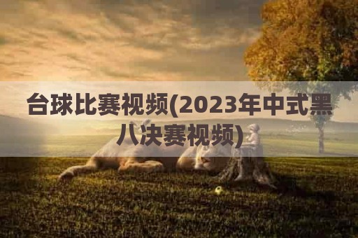 台球比赛视频(2023年中式黑八决赛视频)