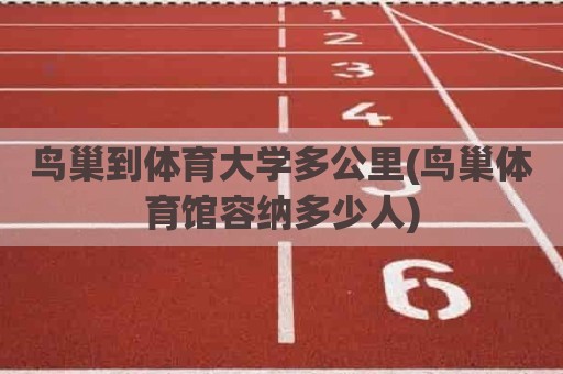 鸟巢到体育大学多公里(鸟巢体育馆容纳多少人)