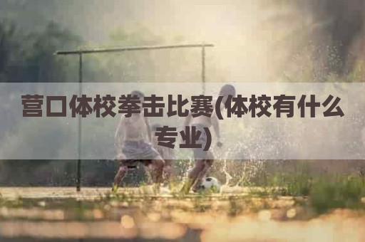 营口体校拳击比赛(体校有什么专业)