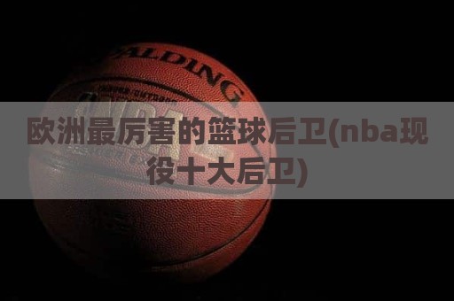 欧洲最厉害的篮球后卫(nba现役十大后卫)