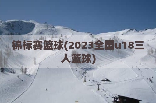 锦标赛篮球(2023全国u18三人篮球)