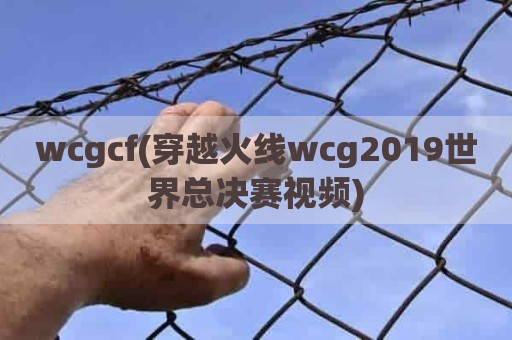 wcgcf(穿越火线wcg2019世界总决赛视频)