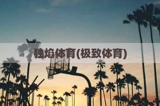 独焰体育(极致体育)