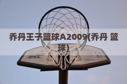 乔丹王子篮球A2009(乔丹 篮球)